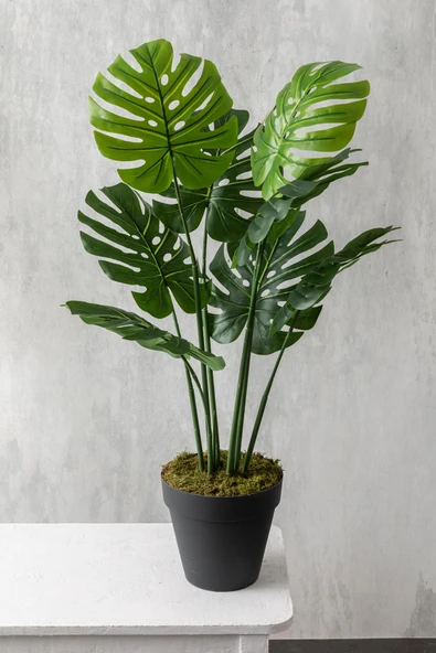Güleç Yapay Çiçek Yapay DeveTabanı(Monstera) Ağacı 100 Cm - Resim 4