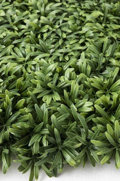 Güleç Yapay Çiçek Yapay Duvar Paneli Uv Korumalı Defne Yaprağı 50*50 - Resim 4