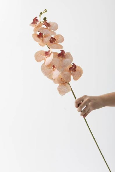 Güleç Yapay Çiçek Yapay Islak Orkide Çiçeği Turuncu Tek Dal - Resim 3