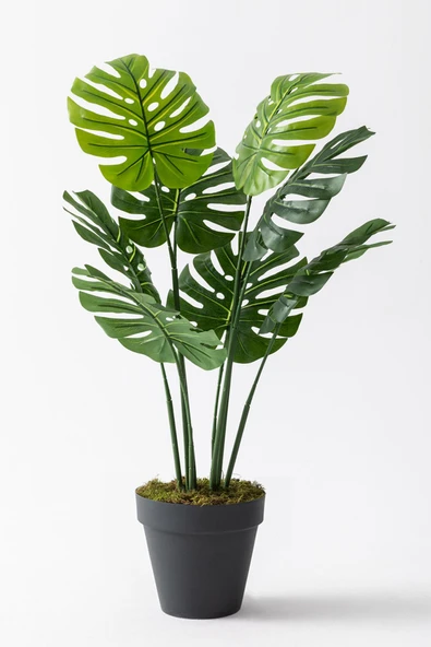 Güleç Yapay Çiçek Yapay DeveTabanı(Monstera) Ağacı 100 Cm ürün görseli