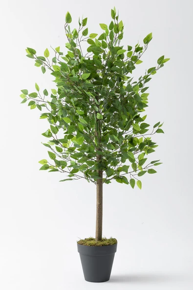 Güleç Yapay Çiçek Yapay Benjamin Ağacı 160 Cm 72 Dal