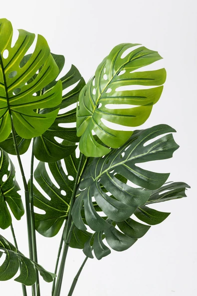 Güleç Yapay Çiçek Yapay DeveTabanı(Monstera) Ağacı 100 Cm - Resim 3