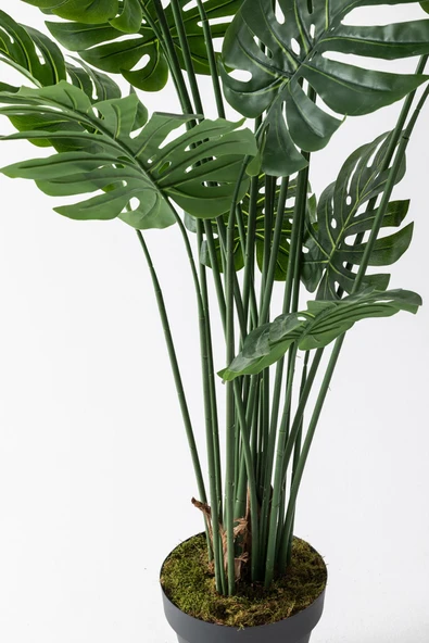 Güleç Yapay Çiçek Yapay DeveTabanı(Monstera) Ağacı 200 Cm - Resim 3