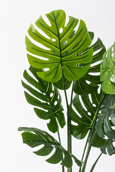 Güleç Yapay Çiçek Yapay DeveTabanı(Monstera) Ağacı 100 Cm - Resim 2