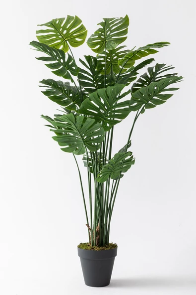 Güleç Yapay Çiçek Yapay DeveTabanı(Monstera) Ağacı 200 Cm ürün görseli