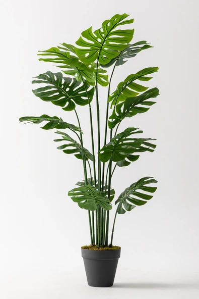 Güleç Yapay Çiçek Yapay DeveTabanı(Monstera) Ağacı 180 Cm ürün görseli