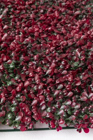 Güleç Yapay Çiçek Yapay Duvar Paneli Uv Korumalı Kırmızı Şimşir 50*50 - Resim 4