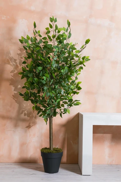 Güleç Yapay Çiçek Yapay Benjamin Ağacı 160 Cm 72 Dal - 2