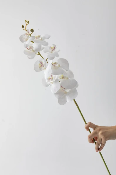 Güleç Yapay Çiçek Yapay Islak Orkide Çiçeği Beyaz Tek Da - Resim 3