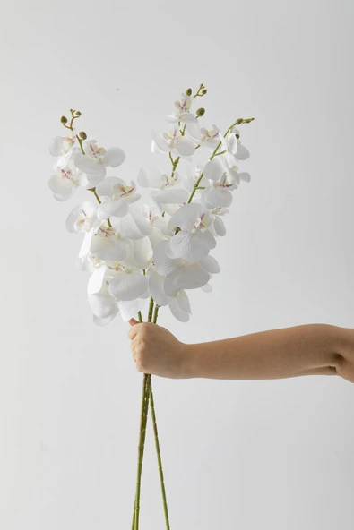Güleç Yapay Çiçek Yapay Islak Orkide Çiçeği Beyaz Tek Da - Resim 5