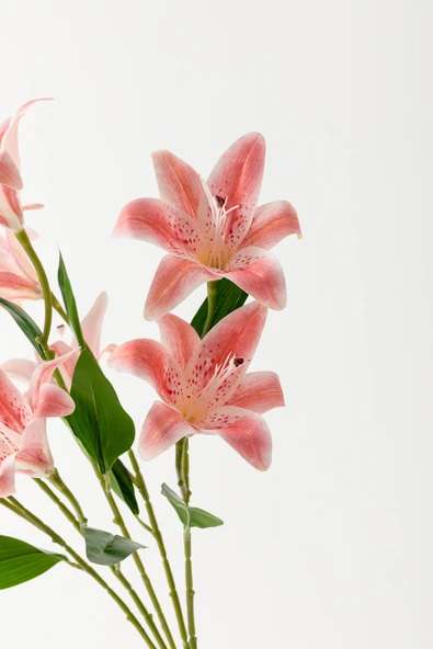 Güleç Yapay Çiçek Yapay Islak Kazabılanka Çiçeği Pembe 9 Dal - Resim 4