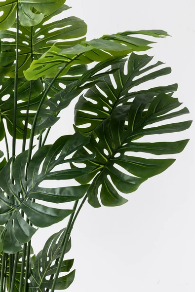 Güleç Yapay Çiçek Yapay DeveTabanı(Monstera) Ağacı 200 Cm - Resim 2