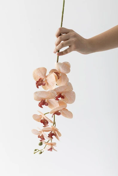 Güleç Yapay Çiçek Yapay Islak Orkide Çiçeği Turuncu Tek Dal - Resim 4