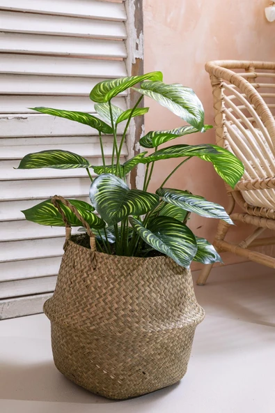 Güleç Yapay Çiçek Yapay Salon Köşe Çiçeği Devetabanı Yeşil Sarı 65 Cm - Resim 2