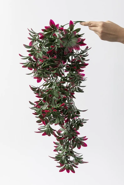 Yapay Sarmaşık Şeflore Uv Korumalı Yeşil Pembe 80 Cm 5 Dal ürün görseli 1
