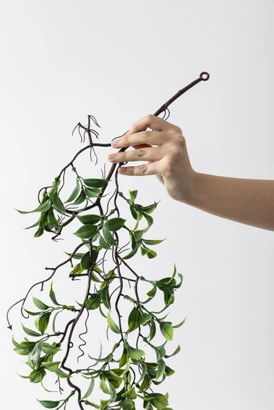 Güleç Yapay Çiçek Yapay Sarmaşık Çay Uv Korumalı Yeşil 75 Cm 5 Dal - 4