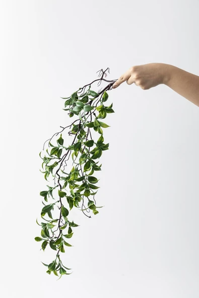 Güleç Yapay Çiçek Yapay Sarmaşık Çay Uv Korumalı Yeşil 75 Cm 5 Dal