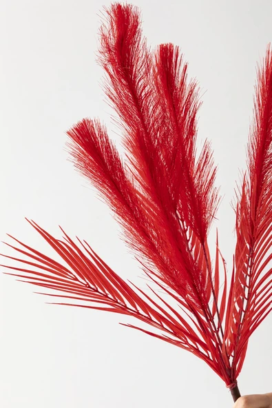 Güleç Yapay Çiçek Yapay Tüylü Palmiye Yaprağı 75 Cm 8 Dal Kırmızı - Resim 4