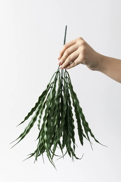 Güleç Yapay Çiçek Yapay Saz Demeti Koyu Yeşil 50 Cm 7 Dal(Uv) - Resim 5