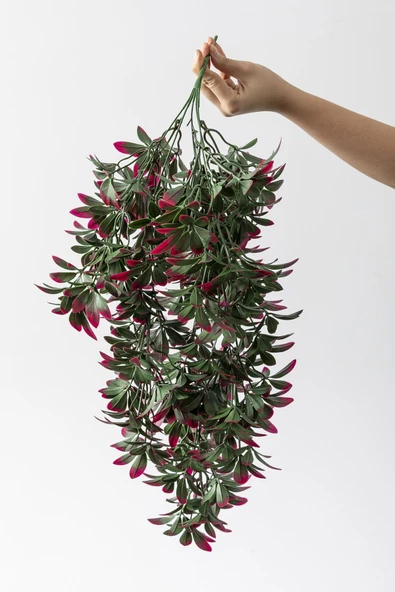 Yapay Sarmaşık Şeflore Uv Korumalı Yeşil Pembe 80 Cm 5 Dal - Resim 3