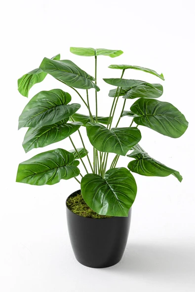 Güleç Yapay Çiçek Yapay Salon Köşe Çiçeği Devetabanı Yeşil 65 Cm - Resim 3