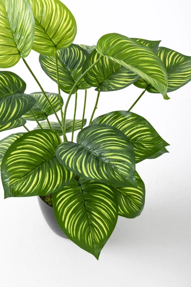 Güleç Yapay Çiçek Yapay Salon Köşe Çiçeği Devetabanı Yeşil Sarı 65 Cm - Resim 5