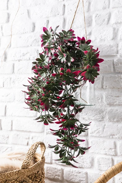 Yapay Sarmaşık Şeflore Uv Korumalı Yeşil Pembe 80 Cm 5 Dal - Resim 2