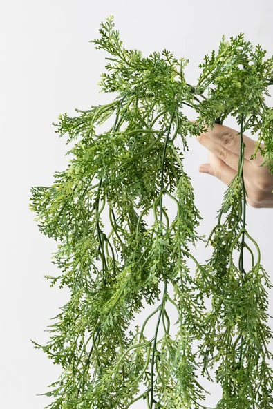 Güleç Yapay Çiçek Yapay Sarmaşık Kuşkonmaz Uv Korumalı Açık Yeşil 75 Cm 5 Dal - 4