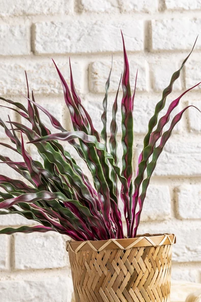 Güleç Yapay Çiçek Yapay Saz Demeti Yeşil Pembe 40 Cm 5 Dal(Uv) - Resim 2