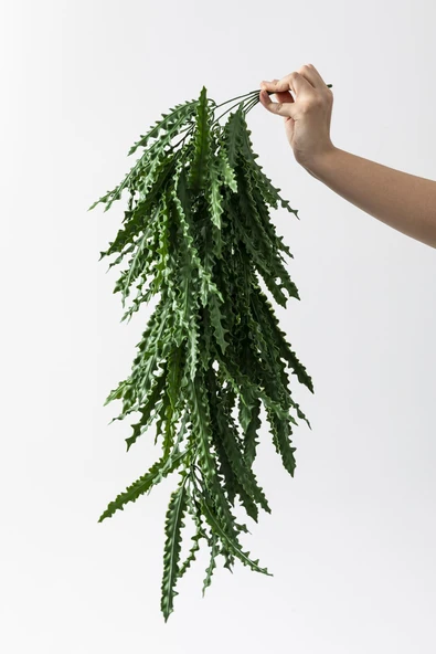 Güleç Yapay Çiçek Yapay Sarmaşık Kaktüs UV Korumalı 80 Cm 5 Dal - 5