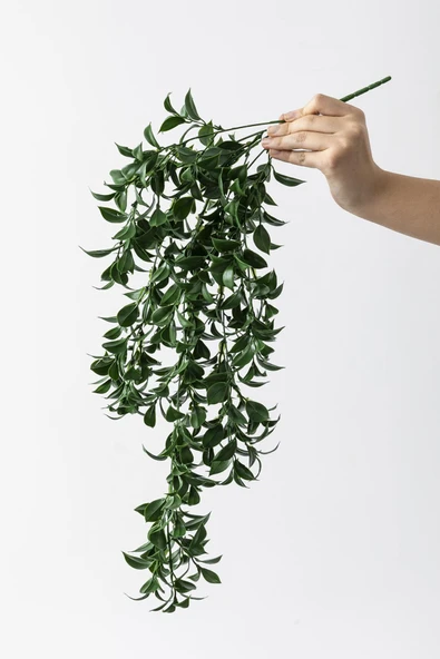 Güleç Yapay Çiçek Yapay Sarmaşık Çay Uv Korumalı Koyu Yeşil 75 Cm 5 Dal - 5
