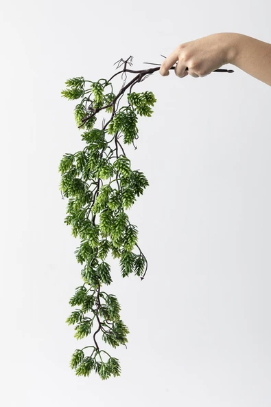 Güleç Yapay Çiçek Yapay Sarmaşık Damalı Çam Uv Korumalı 80 Cm ürün görseli