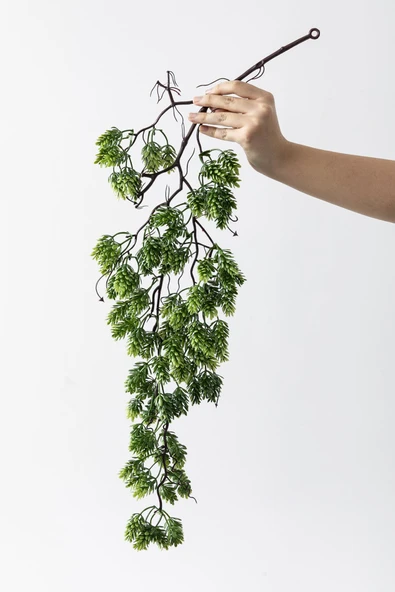 Güleç Yapay Çiçek Yapay Sarmaşık Damalı Çam Uv Korumalı 80 Cm - Resim 5