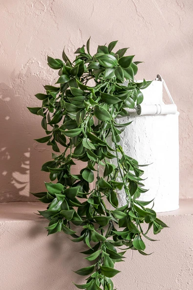 Güleç Yapay Çiçek Yapay Sarmaşık Çay Uv Korumalı Koyu Yeşil 75 Cm 5 Dal - 2