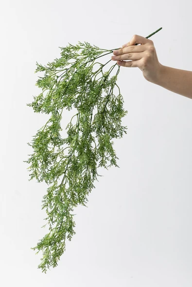 Güleç Yapay Çiçek Yapay Sarmaşık Kuşkonmaz Uv Korumalı Açık Yeşil 75 Cm 5 Dal - 5