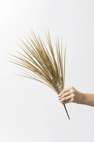 Güleç Yapay Çiçek Yapay Saz Demeti Gold 50 Cm 7 Dal(Uv) - Resim 3