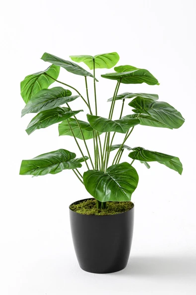 Güleç Yapay Çiçek Yapay Salon Köşe Çiçeği Devetabanı Yeşil 65 Cm ürün görseli