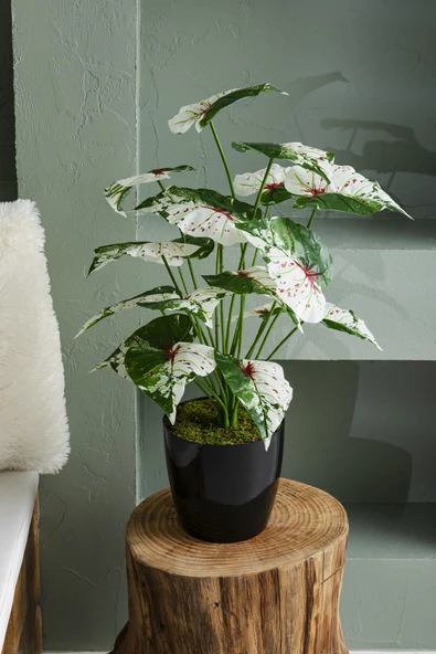 Güleç Yapay Çiçek Yapay Salon Köşe Çiçeği Devetabanı Yeşil Pembe 65 Cm - 2