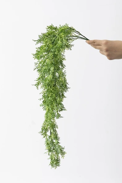 Güleç Yapay Çiçek Yapay Sarmaşık Kuşkonmaz Uv Korumalı Açık Yeşil 75 Cm 5 Dal