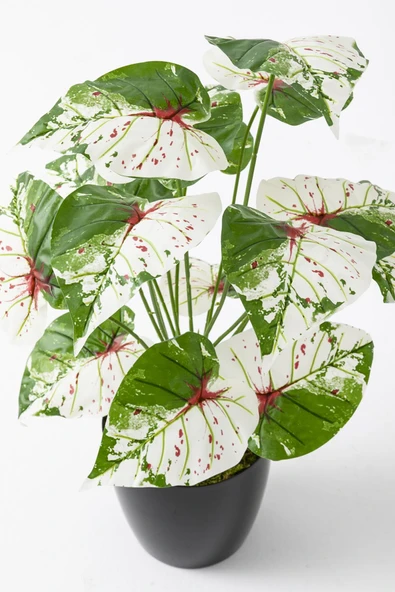 Güleç Yapay Çiçek Yapay Salon Köşe Çiçeği Devetabanı Yeşil Pembe 65 Cm - 5