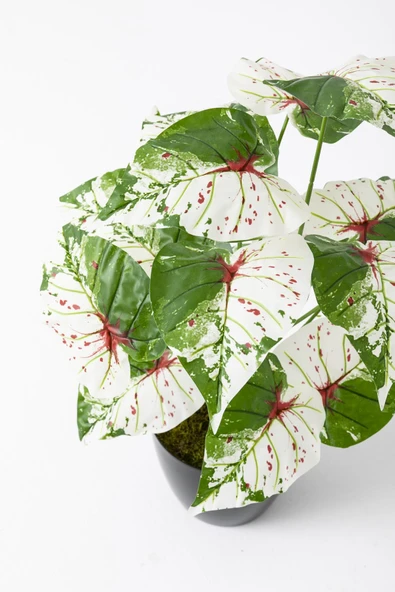 Güleç Yapay Çiçek Yapay Salon Köşe Çiçeği Devetabanı Yeşil Pembe 65 Cm - 6