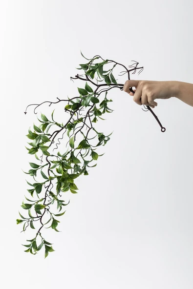 Güleç Yapay Çiçek Yapay Sarmaşık Çay Uv Korumalı Yeşil 75 Cm 5 Dal - 5