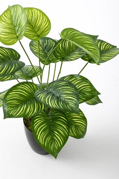 Güleç Yapay Çiçek Yapay Salon Köşe Çiçeği Devetabanı Yeşil Sarı 65 Cm - Resim 4