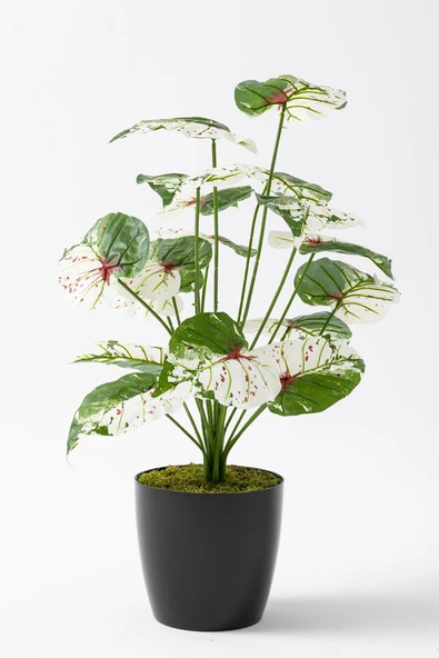 Güleç Yapay Çiçek Yapay Salon Köşe Çiçeği Devetabanı Yeşil Pembe 65 Cm - 3