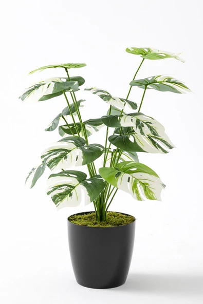 Güleç Yapay Çiçek Yapay Salon Köşe Çiçeği Devetabanı Beyaz 65 Cm ürün görseli