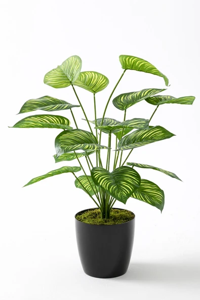 Güleç Yapay Çiçek Yapay Salon Köşe Çiçeği Devetabanı Yeşil Sarı 65 Cm ürün görseli