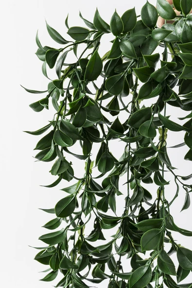 Güleç Yapay Çiçek Yapay Sarmaşık Çay Uv Korumalı Koyu Yeşil 75 Cm 5 Dal - 4