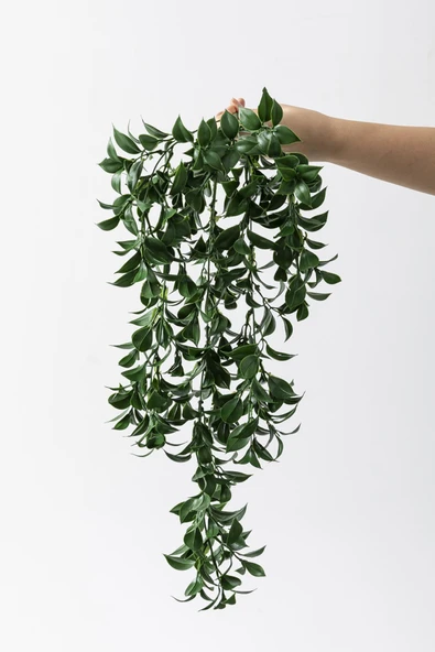 Güleç Yapay Çiçek Yapay Sarmaşık Çay Uv Korumalı Koyu Yeşil 75 Cm 5 Dal - 3