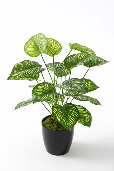 Güleç Yapay Çiçek Yapay Salon Köşe Çiçeği Devetabanı Yeşil Sarı 65 Cm - Resim 3