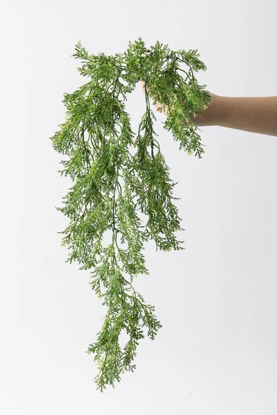 Güleç Yapay Çiçek Yapay Sarmaşık Kuşkonmaz Uv Korumalı Açık Yeşil 75 Cm 5 Dal - 3